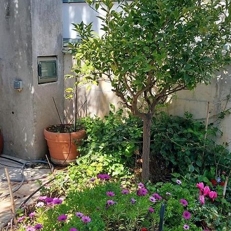 Lenia'S 1 Apartment Artemida  Exterior photo